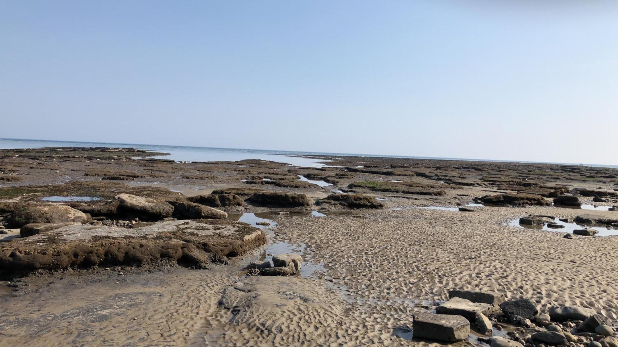 Billie'S Seaside Retreat Villa Lyme Regis Buitenkant foto
